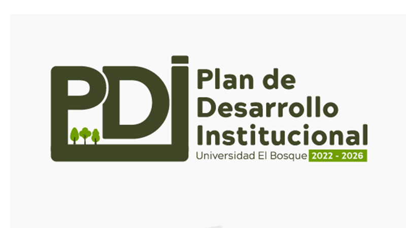 plan de desarrollo institucional 