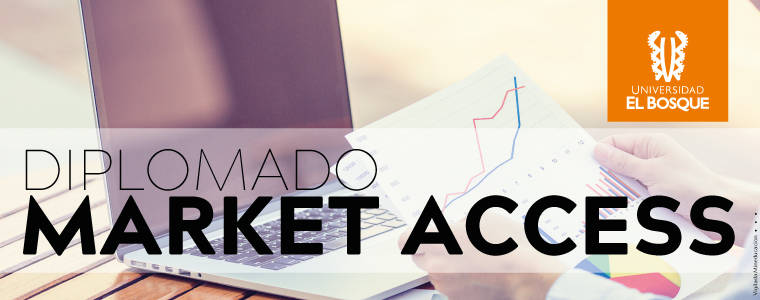 Diplomado Market Access