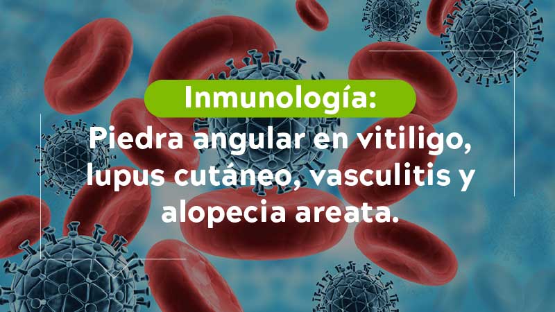 Inmunologia piedra angular en vitiligo, lupus cutáneo, vasculitis y alopecia areata