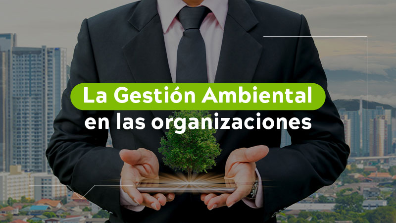 La Gestión Ambiental en las organizaciones