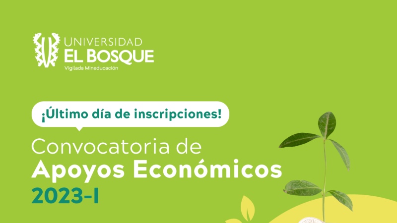 Apoyos económicos