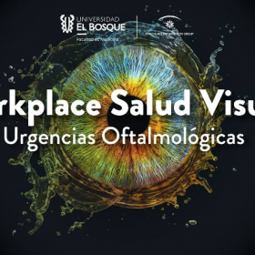 Workplace en salud visual: urgencias oftalmológicas